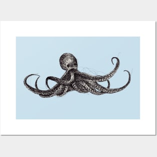 Octopus Posters and Art